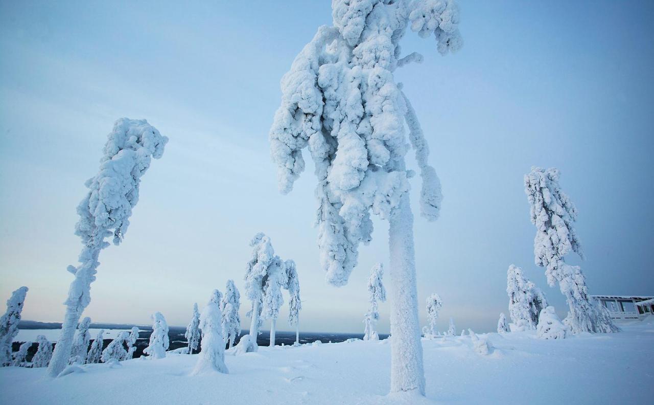 Arctic Giant Paltamo Exterior foto